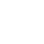 budget icon