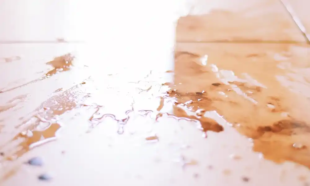 water leaks