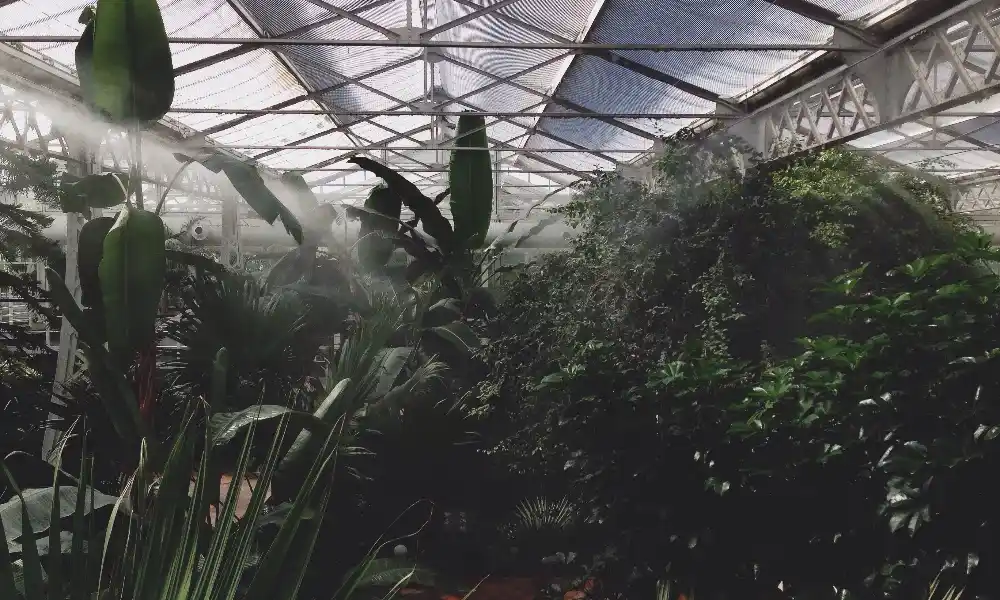 misting system